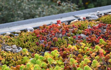 the cost of Rhosmeirch green roof installation