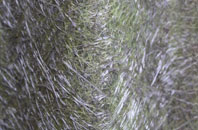 Rhosmeirch fibreglass roof work